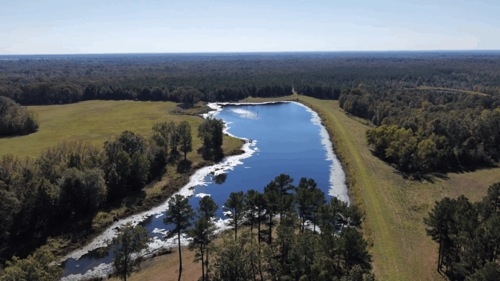 Drone Spraying Services in East Texas | Agriculture, Aquatics & Roofing